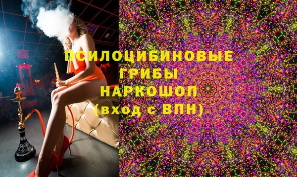 мдпв Армянск
