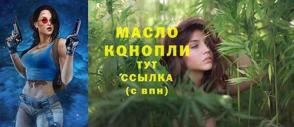 хмурый Арсеньев