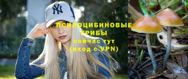 хмурый Арсеньев