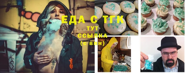 хмурый Арсеньев