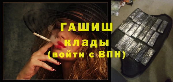хмурый Арсеньев